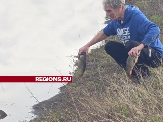 Не фейк, а факт: наличие рыбы на полях под Серпуховом подтвердилось