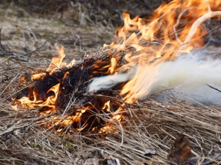 Жителей Большой Шатуры призывают не сжигать сухую прошлогоднюю траву в пожароопасный период