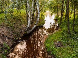 Реку Ликову расчистят в Одинцовском округе за 21,7 млн рублей