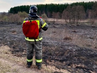 Спасатели потушили возгорание сухой травы в Серебряных Прудах