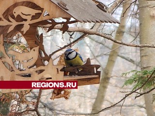 В парке Лосино-Петровского птицы получили новое жилье