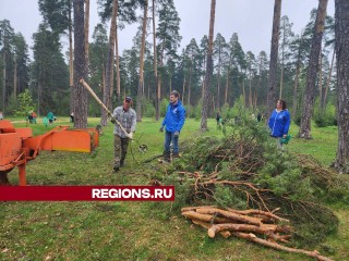 Более двухсот человек навели порядок в Парковском лесу