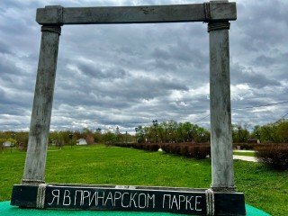 Завершена обработка парков Серпухова от клещей