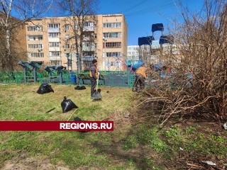 Более 50 мешков мусора убрали из дворов микрорайона Северный в Красноармейске