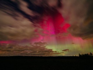 Необычное природное явление: зелено-розовое северное сияние видели жители над Луховицами