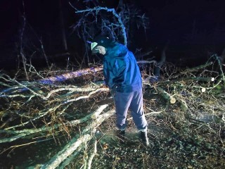 В Литвинове спасатели убрали с проезжей части сломанное ветром дерево
