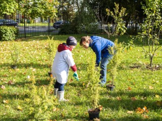 Школьники Солнечногорска высадят около 300 деревьев в рамках акции «День добрый дел»
