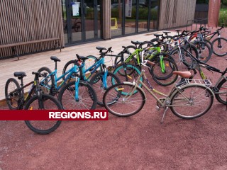 Сотни велосипедистов примут участие в масштабной гонке в Лотошино