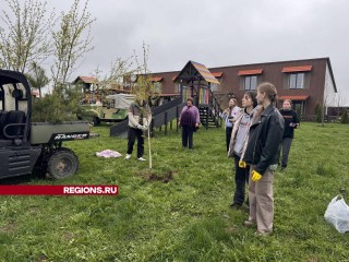 Сосны и березы посадили школьники из Шаховской на сыроварне в рамках «Дня добрых дел»