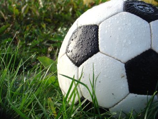 Юные футболисты из Белгорода будут комфортно жить и тренироваться в Солнечногорске