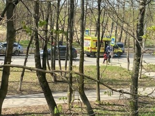 В Подольске на пешеходном переходе сбили мужчину с собакой