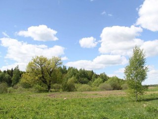 Краснознаменск вошел в число лидеров по выдаче земли многодетным семьям