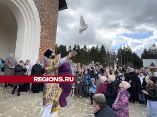Трех белых голубей выпустили на волю в честь Благовещения в Шаховской