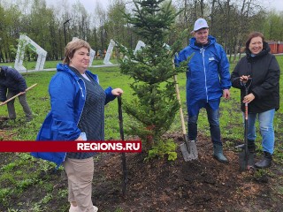 В Долгопрудном посадили более тысячи растений за день