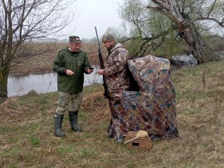 Сезон охоты на тетеревов, глухарей, гусей и уток в Щелкове заканчивается 29 апреля
