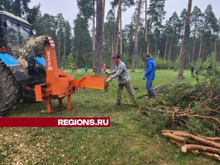 Жителей пригласили на арт-субботник «Чистая весна» на берегу Суходольского залива в Тишкове