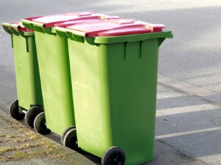 Акцию по раздельному сбору мусора проведут для жителей Пушкино в воскресенье