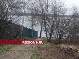 Зону отдыха помогут оборудовать на берегу Клязьминского водохранилища по просьбе жителей
