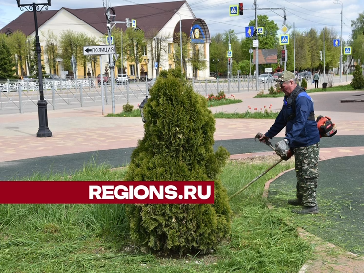 Коммунальщики покосили траву на Центральной улице в Лотошино