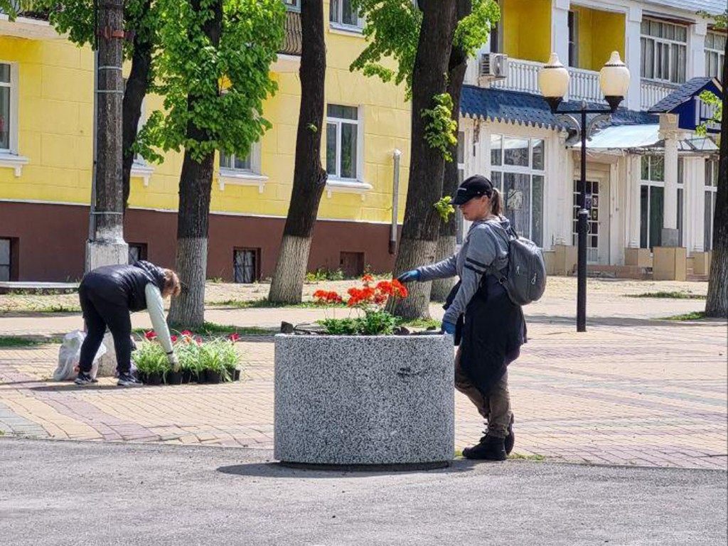 Бархатцы, петунии, георгины на улицах и в скверах будут радовать ступинцев в этом году