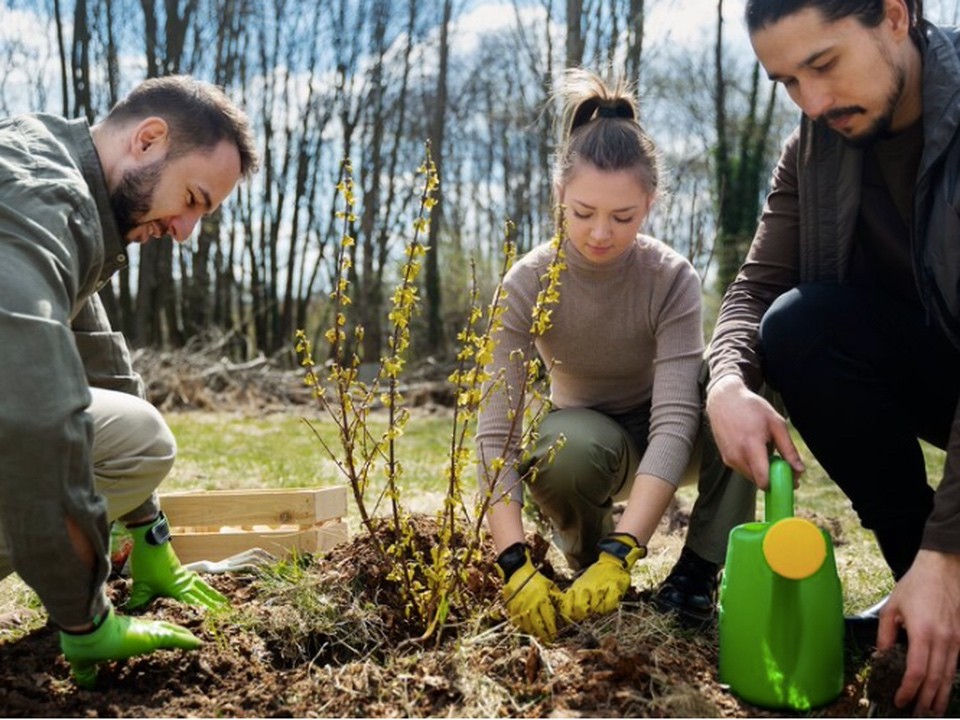 «Лес будущего» высадят в Подмосковье 18 мая: рассказываем лыткаринцам, как принять участие в акции