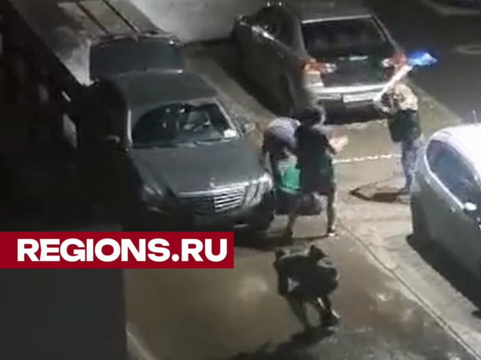 Салют в два ночи и бойня с лопатой: жители Раменского отдыхают от выходных