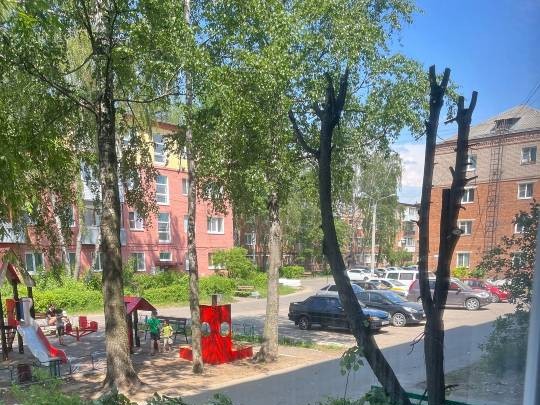 Жители переулка Герцена жалуются на незаконную вырубку деревьев