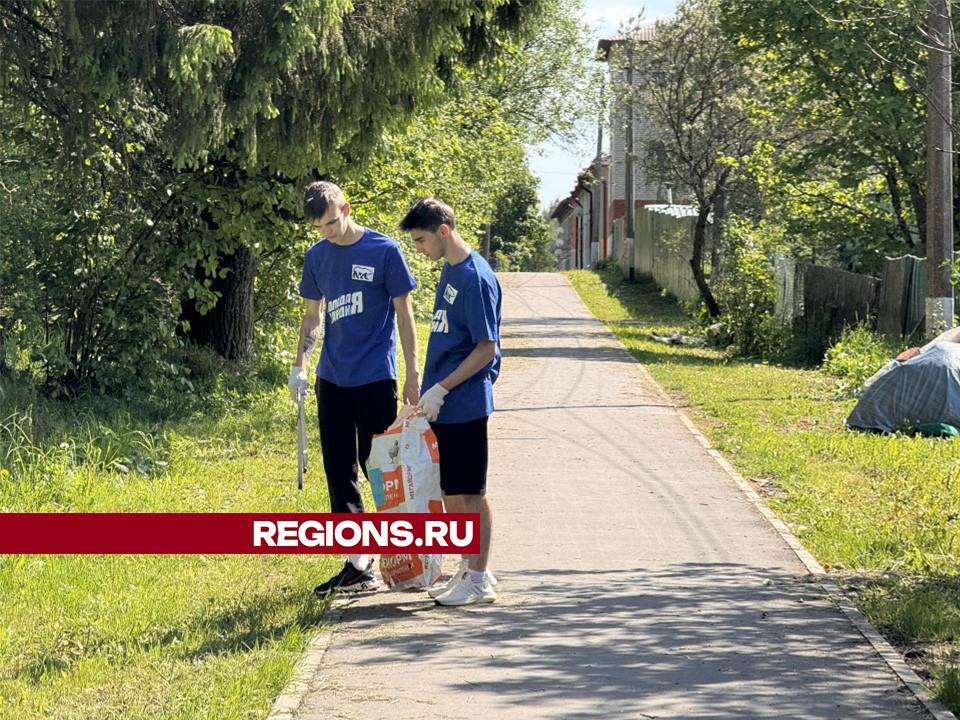 Волонтеры в Шаховской провели субботник в лесу ко Дню эколога