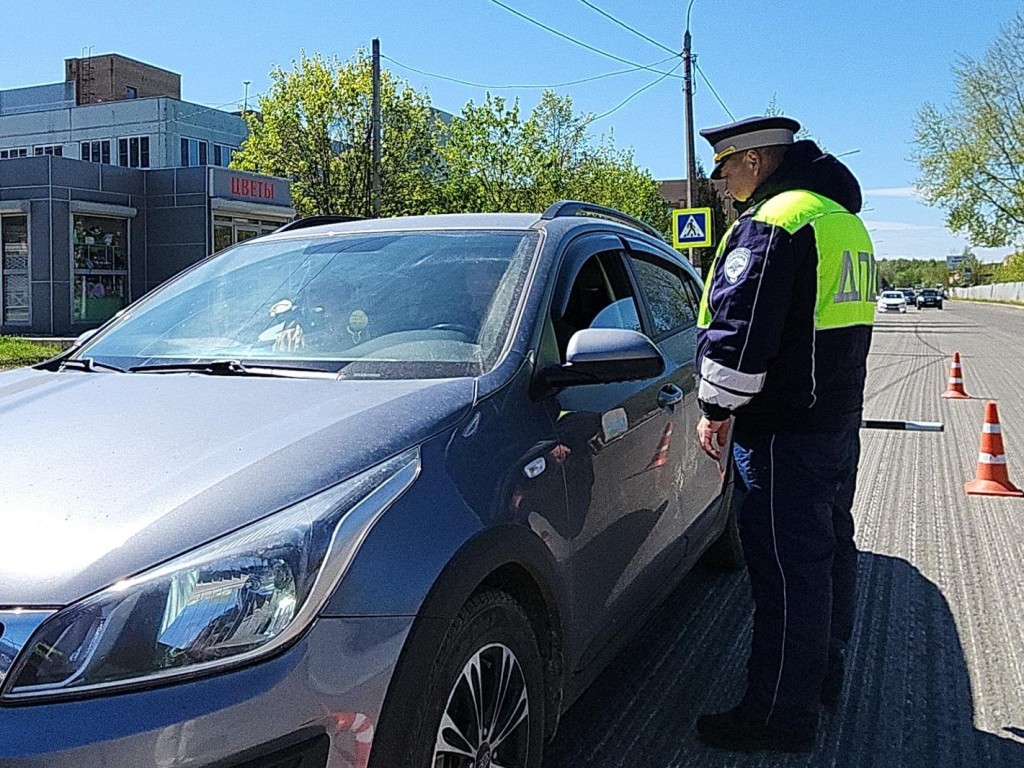 Сотрудники ГИБДД проверили, соблюдают ли водители правила перевозки детей |  REGIONS.RU / Электросталь