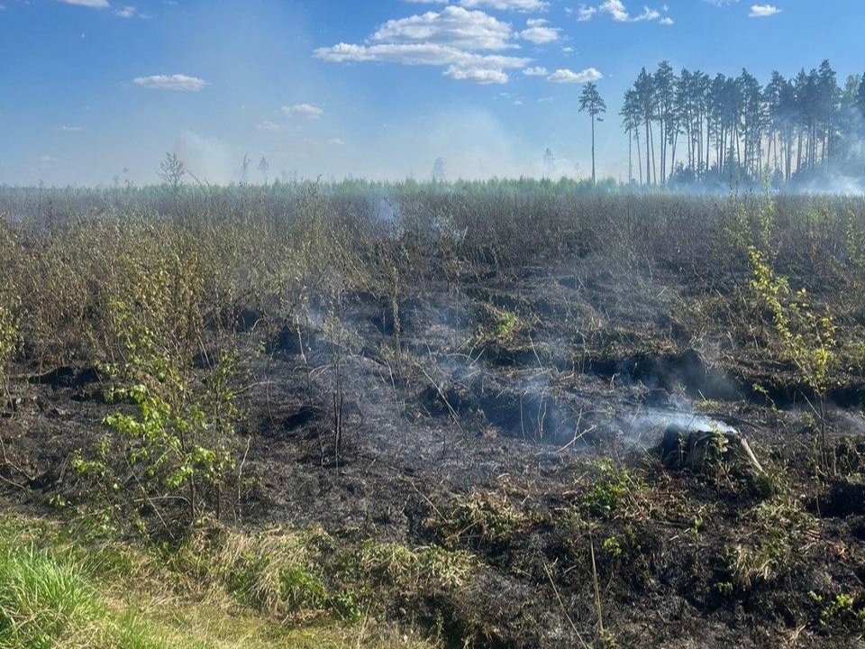 Огнеборцы устранили лесной пожар вблизи деревни Русавкино-Романово