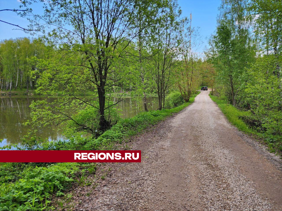 Дорогу в СНТ «Никажель» под Чеховом обследуют для принятия на баланс округа