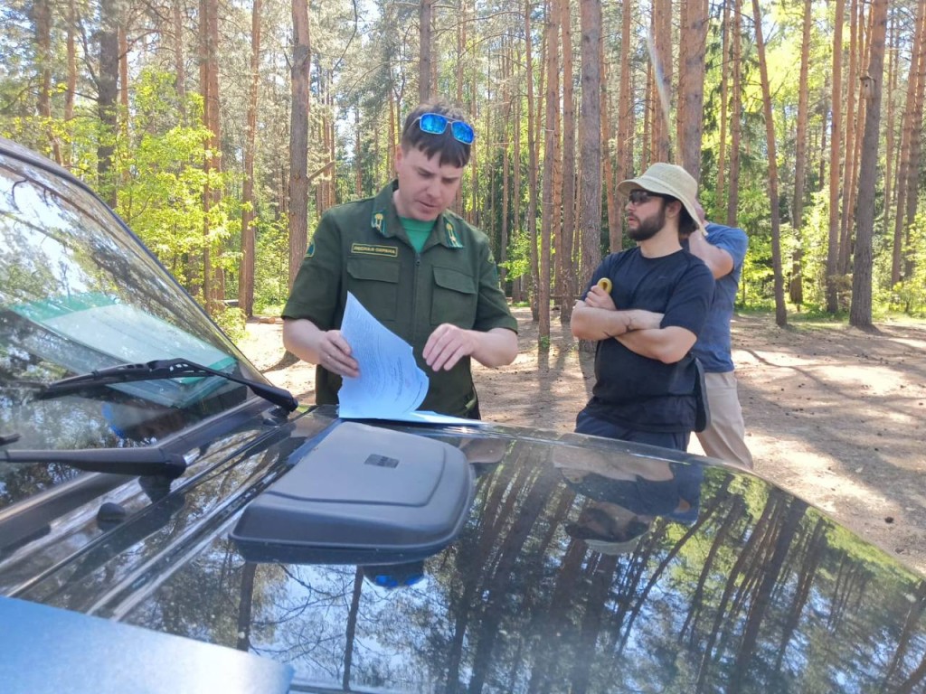 Не окажитесь на их месте: за что оштрафовали влюбленную пару в лесу |  REGIONS.RU / Сергиев Посад