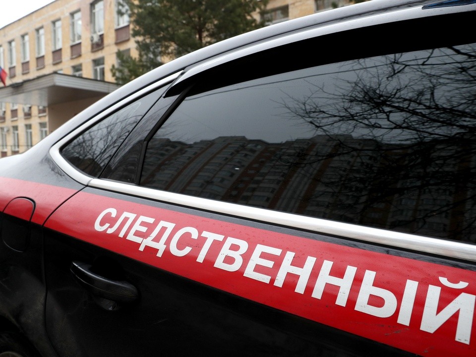 Глава СК поручил возбудить дело по нападению на подростка в Пушкинском округе