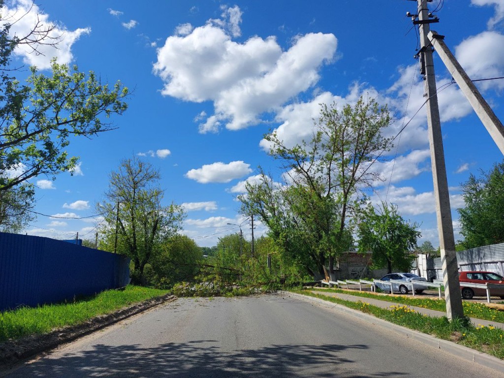Ураганный ветер в Серпухове: поваленное дерево перекрыло дорогу