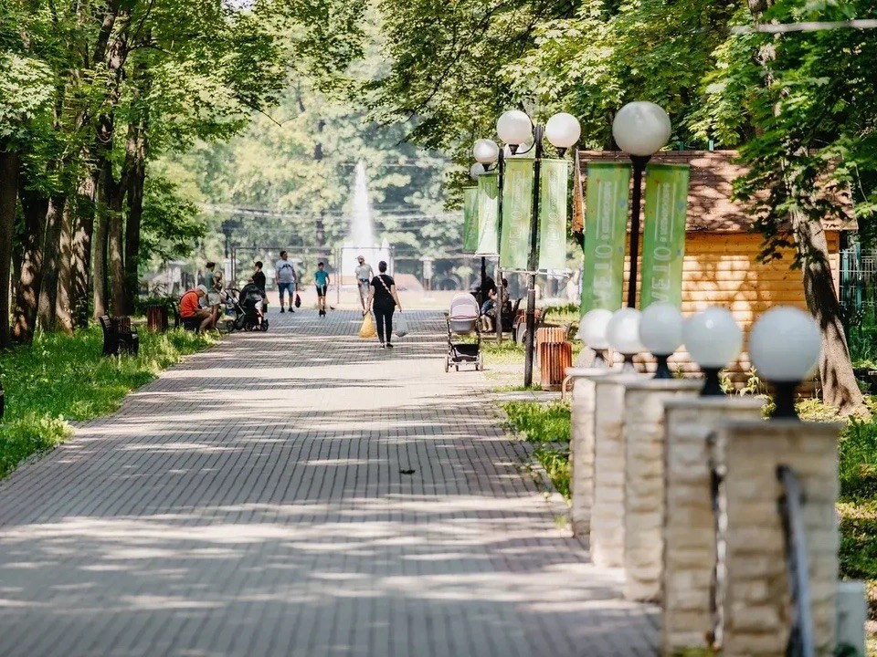 Спрятаться от палящего солнца можно в тени деревьев парка Толстого
