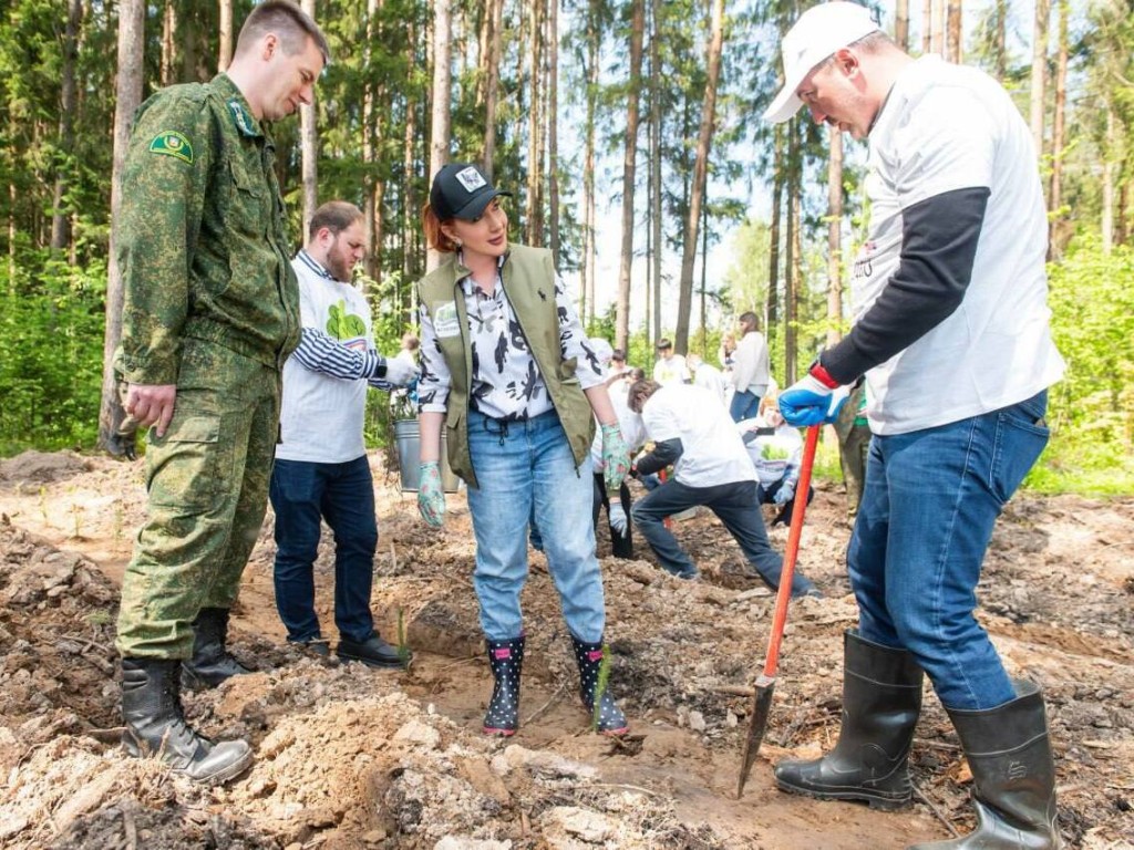 Жители Истры посадили около 2,5 саженцев деревьев в рамках акции «Лес Будущего»