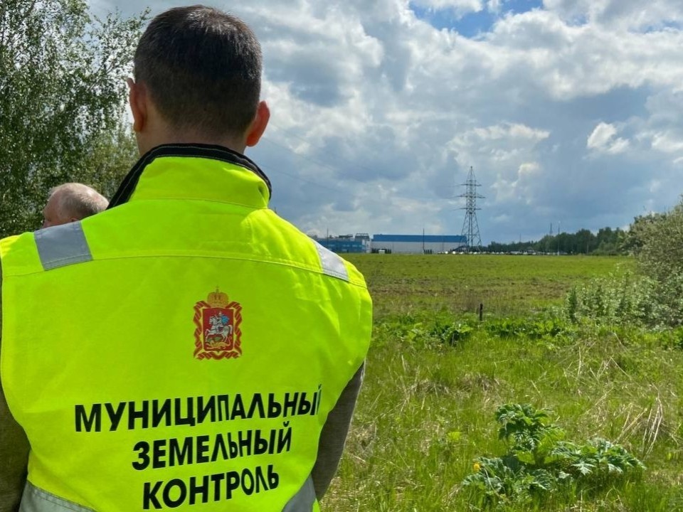 В Видном готовятся к сезону ликвидации борщевика