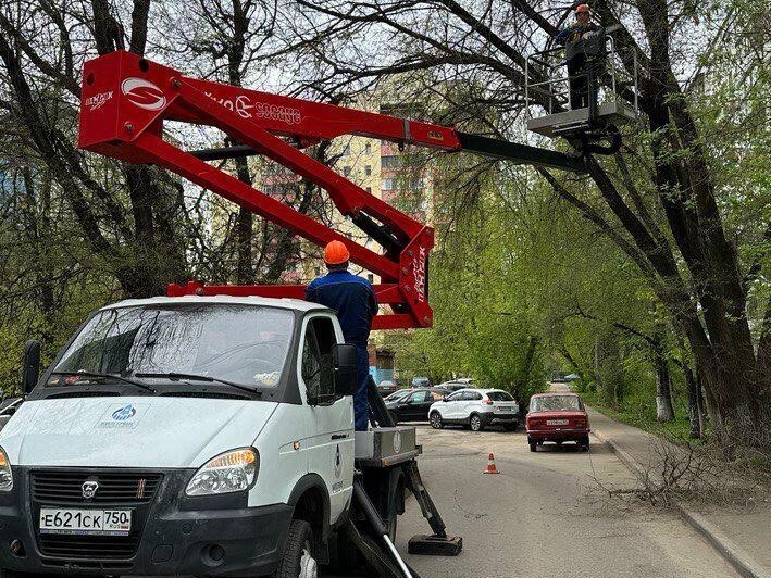 Подмосковные коммунальщики за апрель удалили более двух с половиной тысяч аварийных деревьев