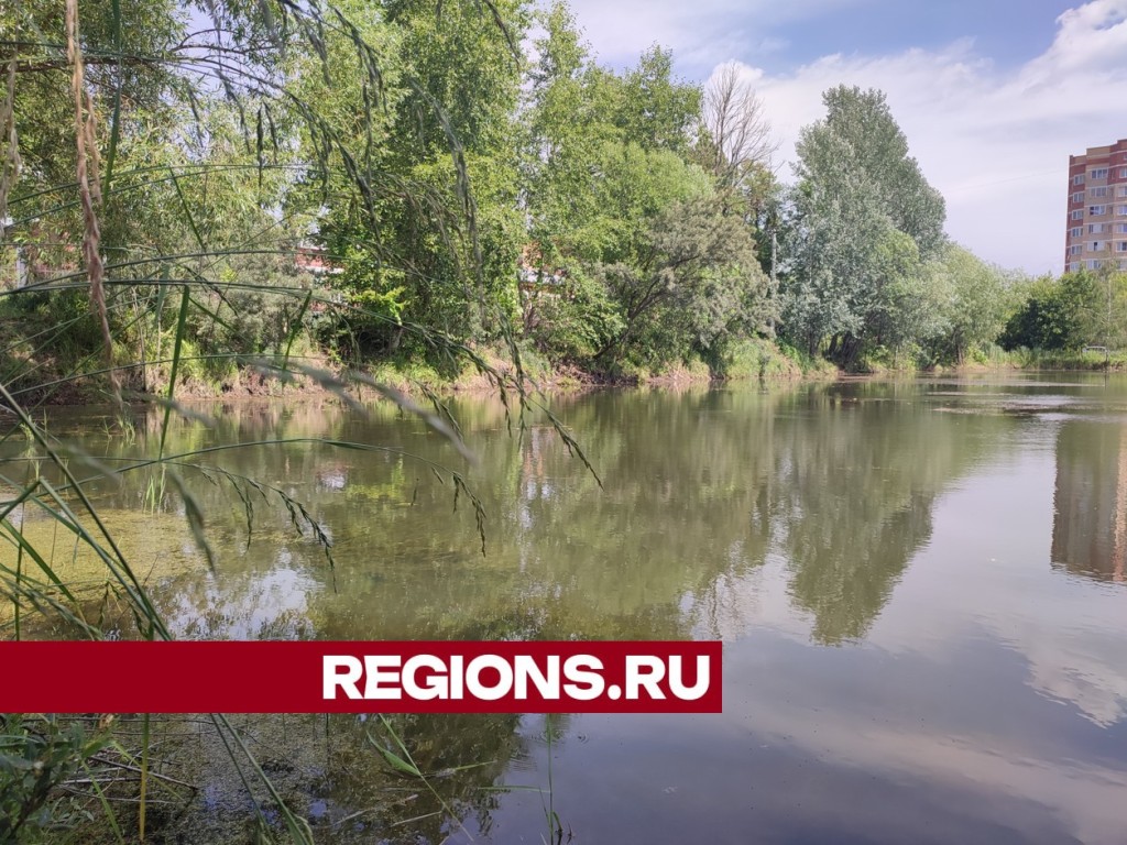 Сквер «Технический сад» будет обновлен в будущем году
