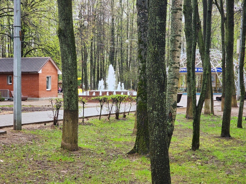 В парках Королева май встречают летними активностями