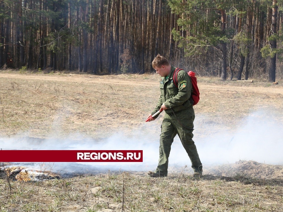 Леса под замком: ограничения из-за высокой пожарной опасности продлили на выходные