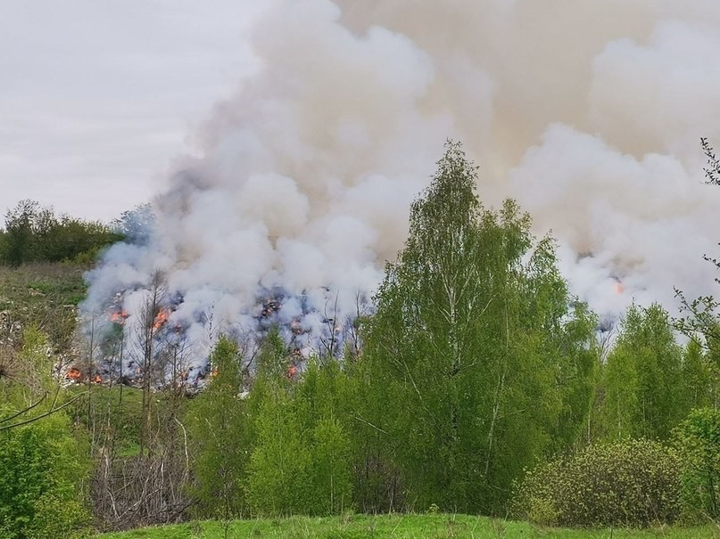 Недалеко от Жуковского горит незаконная свалка