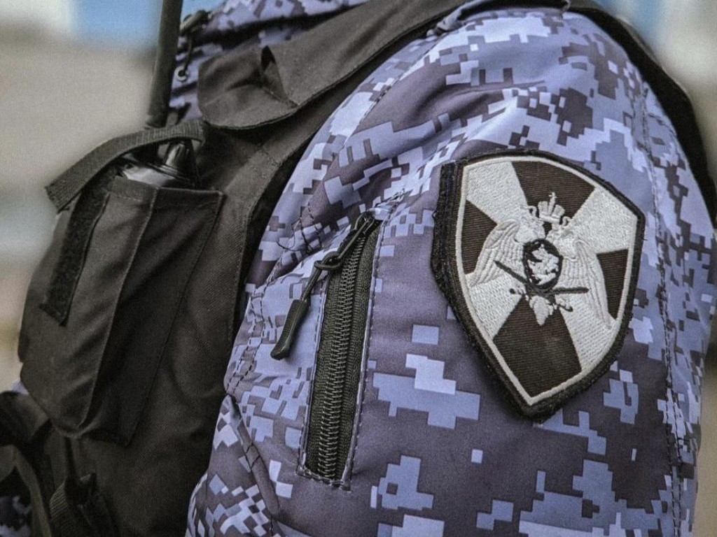Магазинного вора задержали в Коломне благодаря записям с видеокамер