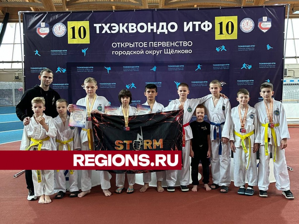 Больше 20 медалей завоевали Балашихинские тхэквондисты на X Первенстве городского округа Щелково