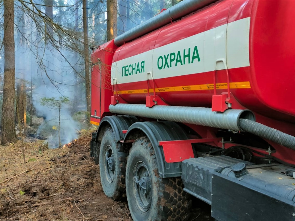 Под охраной: сотрудники полиции и лесного комитета патрулируют в лесах  Подмосковья | REGIONS.RU / Бронницы