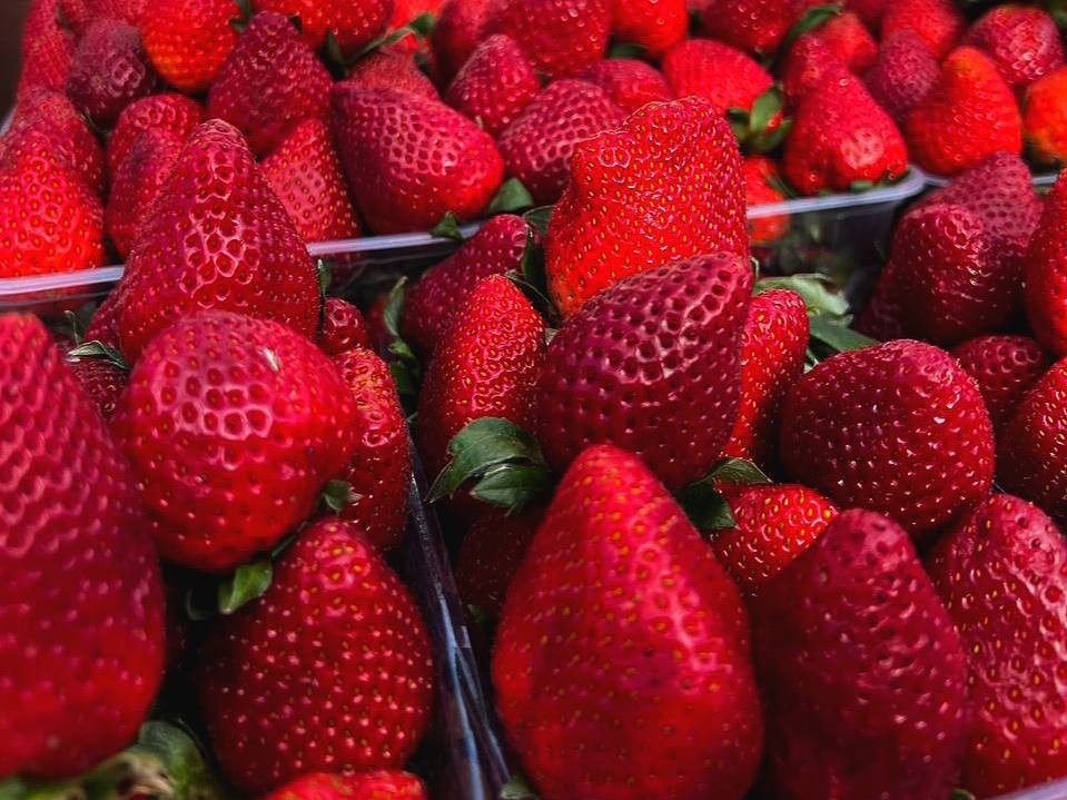 Как выбрать вкусную клубнику в Сергиевом Посаде и не разориться: советы жителей