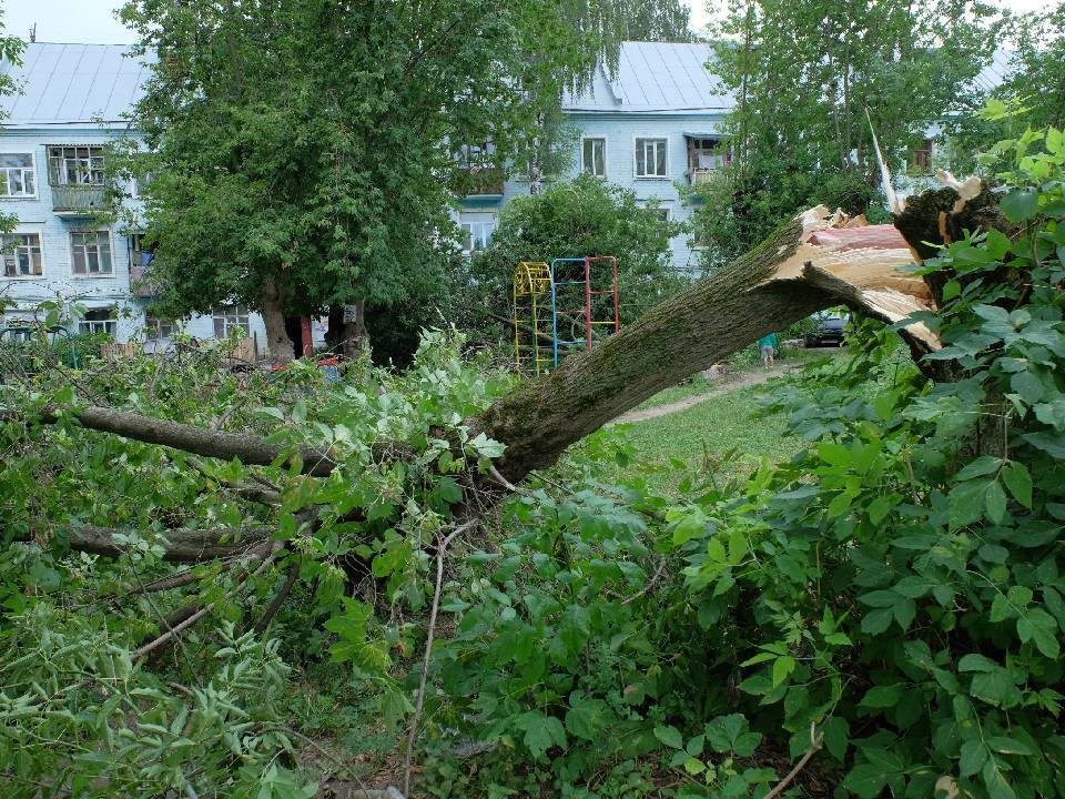 МЧС: сильный порывистый ветер ожидается в ближайшие часы в Москве