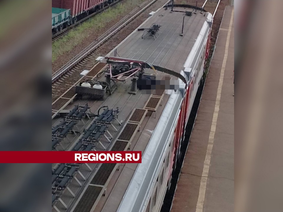 Два трупа нашли на железнодорожных путях в Щелково