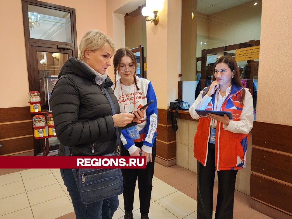 Волонтеры из Пушкинского округа представят свои проекты на соискание международной премии