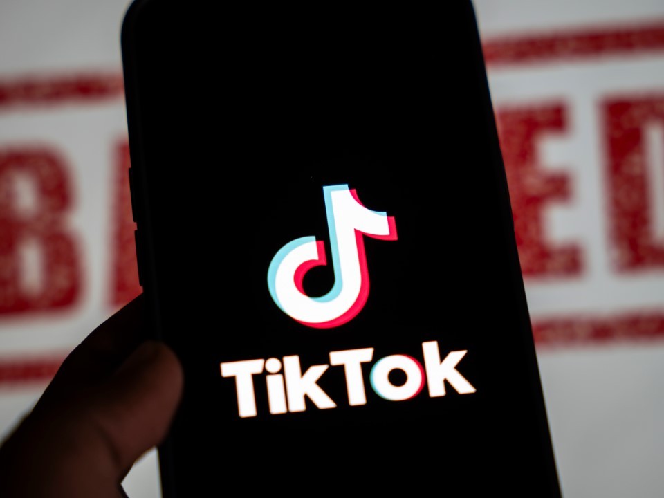 В Госдуме предложили заблокировать TikTok в России